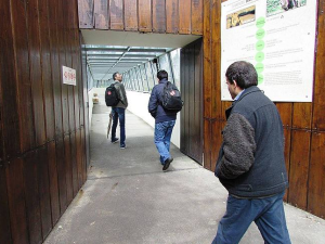 Clientes da Oficina dos Sorrisos visitaram o Zoo Santo Inácio