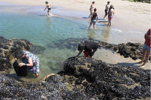 Clientes dos Espaços de Convívio tomam banho na praia