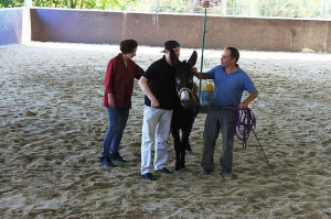 Oficina dos Sorrisos - Clientes da A2000 experimentam andar a cavalo