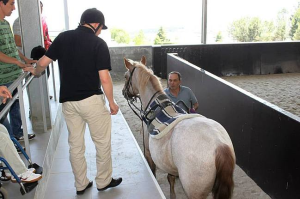 Oficina dos Sorrisos - Clientes da A2000 experimentam andar a cavalo