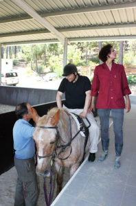 Oficina dos Sorrisos - Clientes da A2000 experimentam andar a cavalo