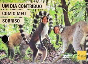 Clientes dos Espaços de Convívio foram ao Zoo Santo Inácio