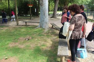 Clientes dos Espaços de Convívio foram ao Zoo Santo Inácio