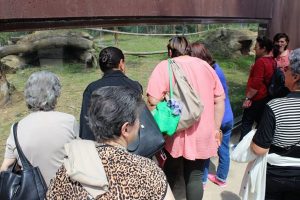 Clientes dos Espaços de Convívio foram ao Zoo Santo Inácio