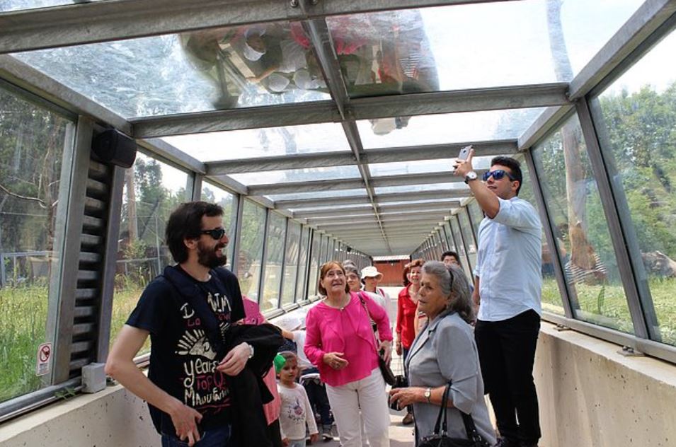 Clientes dos Espaços de Convívio foram ao Zoo Santo Inácio