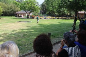 Clientes dos Espaços de Convívio foram ao Zoo Santo Inácio