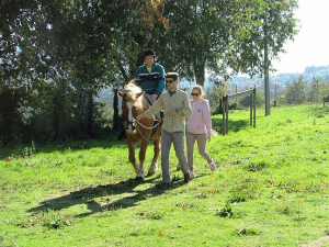 Oficina dos Sorrisos - XVII Jogos sem Fronteiras - Atividade de equitação com cliente montado a cavalo