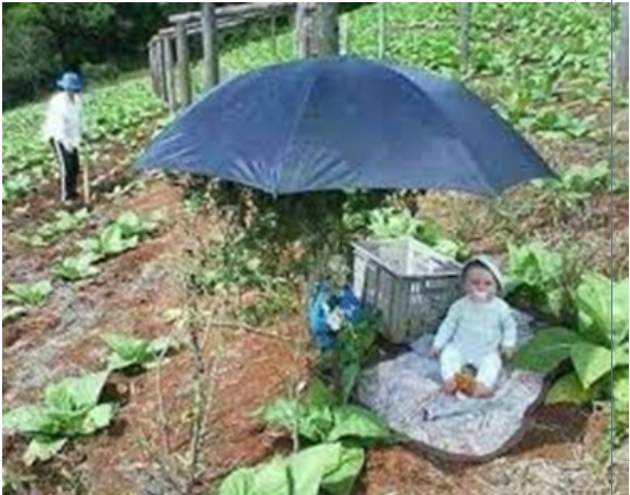 Criança sentada num jardim